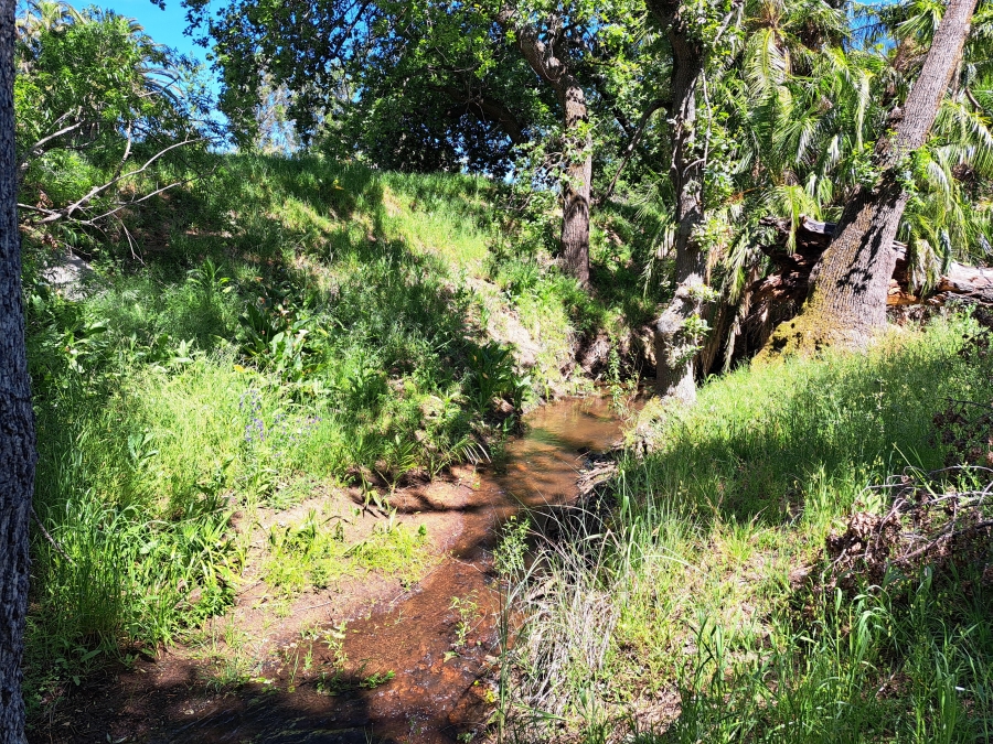 0 Bedroom Property for Sale in Stellenbosch Farms Western Cape